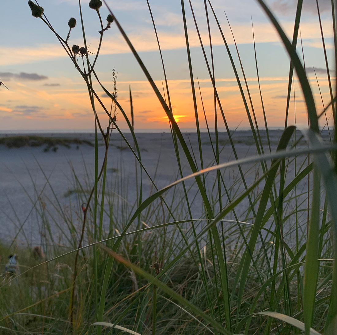 amrum-mediation-bachmann